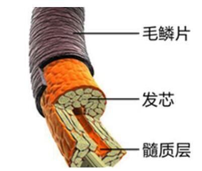 石嘴山市深度剖析|無硅油VS含硅，洗發(fā)水究竟怎么選？